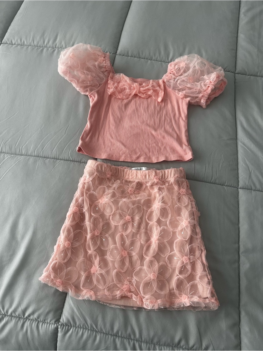 Badgley Mischka Pink Floral Mesh Puff-Sleeve Top & Skirt Set